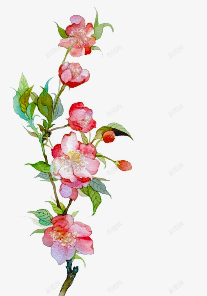 一枝桃花png免抠素材_新图网 https://ixintu.com png图形 png装饰 桃花 粉色 绿叶 花朵 装饰