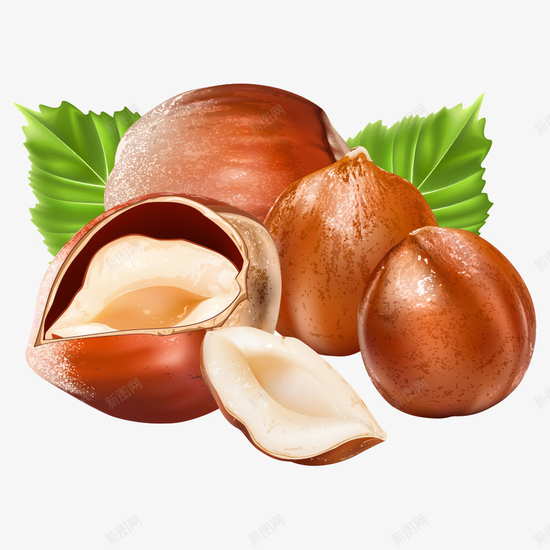 板栗食物片png免抠素材_新图网 https://ixintu.com 图片 板栗 素材 食物