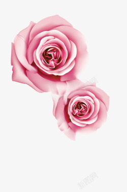 手绘唯美粉红色玫瑰花背景素材