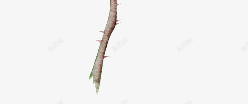 粉色的玫瑰花png免抠素材_新图网 https://ixintu.com PNG图形 PNG装饰 手绘 玫瑰花 职务 装饰