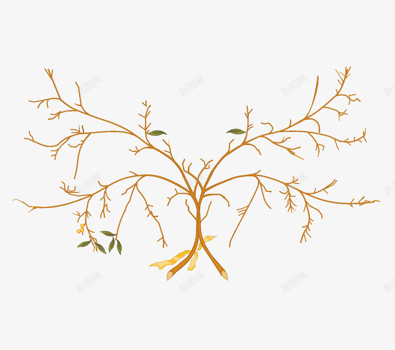 树枝对称图形png免抠素材_新图网 https://ixintu.com 树叶 树杈 树枝 植物 黄色