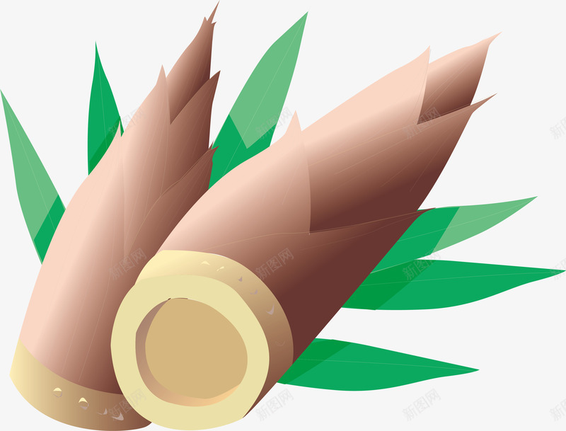 竹笋卡通png免抠素材_新图网 https://ixintu.com 卡通 卡通矢量 卡通竹笋 矢量卡通 矢量图形 矢量竹笋 竹笋