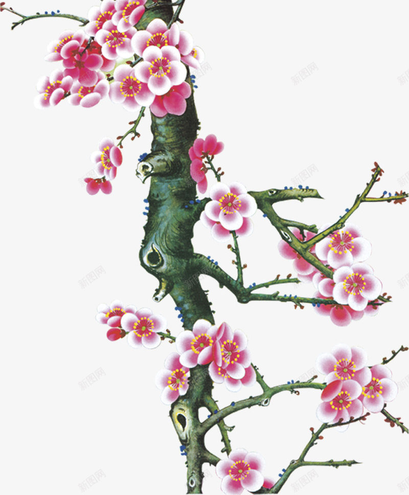 桃花上的喜鹊png免抠素材_新图网 https://ixintu.com 喜鹊 婚礼 桃花 设计