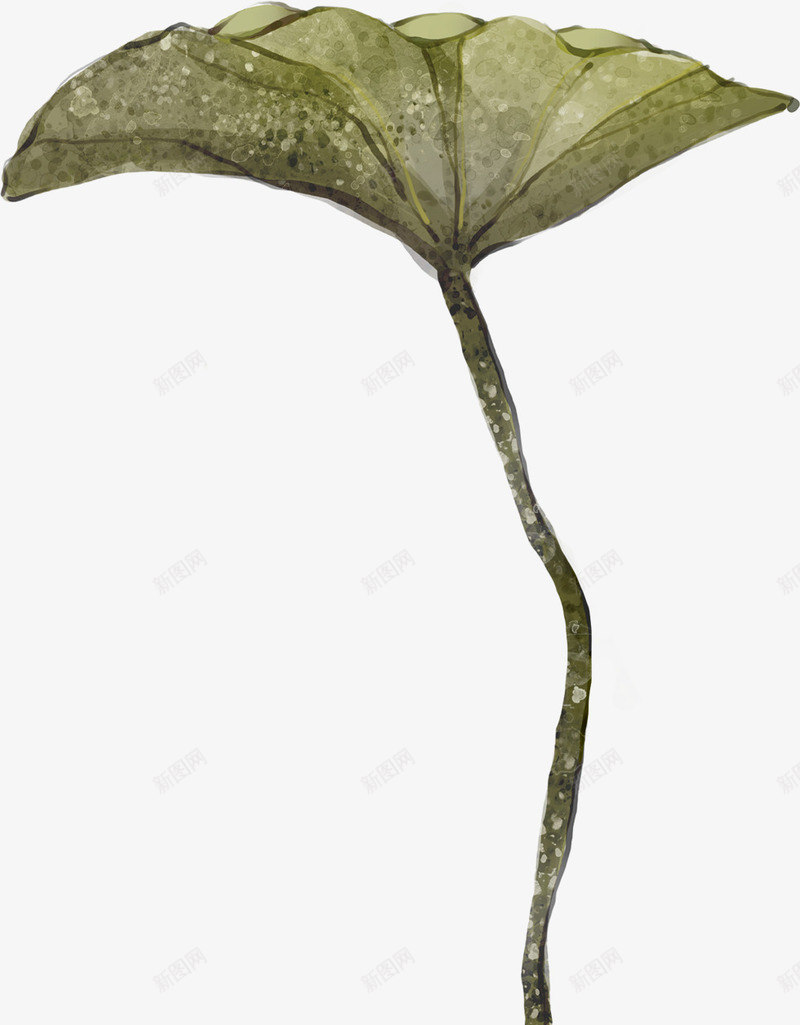 夏日手绘荷叶中式png免抠素材_新图网 https://ixintu.com 中式 夏日 荷叶