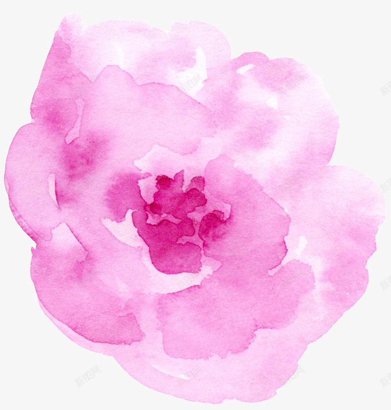 水彩粉色玫瑰花png免抠素材_新图网 https://ixintu.com 婚礼卡片设计 手绘复古花边 手绘精致花边 水墨水彩花纹 浪漫水彩花朵 花边插画元素
