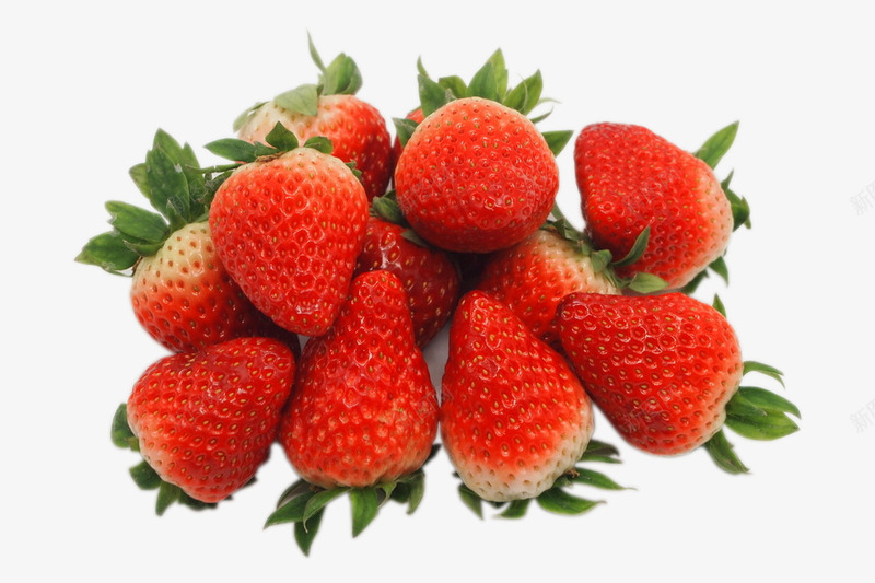 新鲜可口的有机大草莓png免抠素材_新图网 https://ixintu.com 可口 新鲜 无农药 无残留 有机 草莓 鲜美