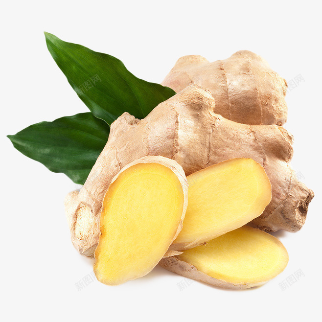 生姜的png免抠素材_新图网 https://ixintu.com 免费PNG 地方特产 材料 植物 食物