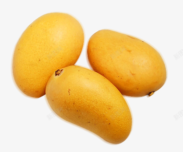 三个小台芒芒果png免抠素材_新图网 https://ixintu.com 三个 小台芒 水果 芒果 食物