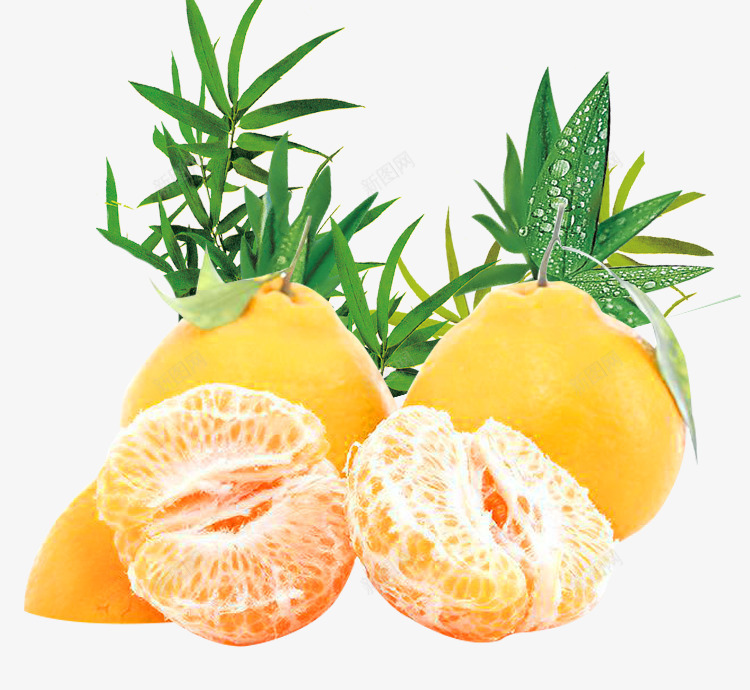 耙耙柑与绿叶png免抠素材_新图网 https://ixintu.com 叶子 柑橘 橘子 水果 绿叶 耙耙柑 食物