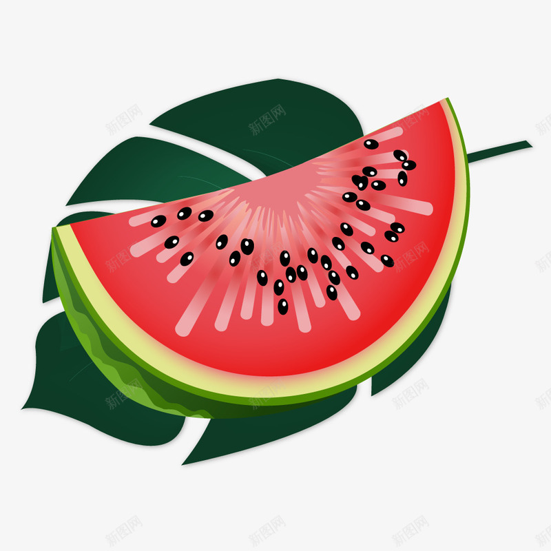 小清新花草植物西瓜矢量图ai免抠素材_新图网 https://ixintu.com 叶子 唯美 小清新 小清新植物 森林 植物 清新 矢量图 简约 绿色 花矢量图 花草 花草背景 西瓜 西瓜破