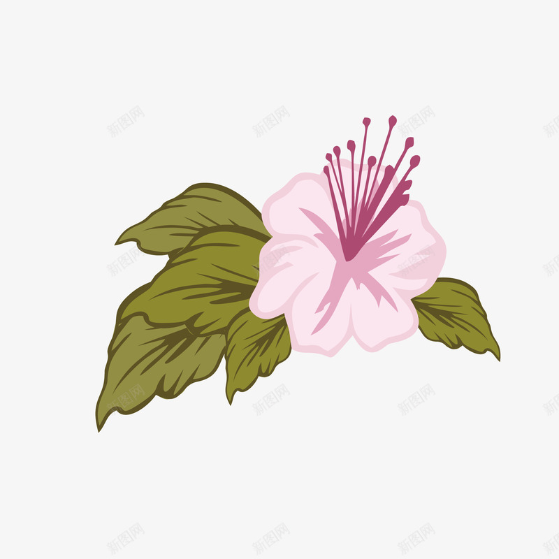 手绘杜鹃花花瓣多片叶子矢量图ai免抠素材_新图网 https://ixintu.com 卡通杜鹃花 唯美 带多片叶子 杜鹃花 杜鹃花瓣 矢量图 素雅 绽放 花瓣 花蕊