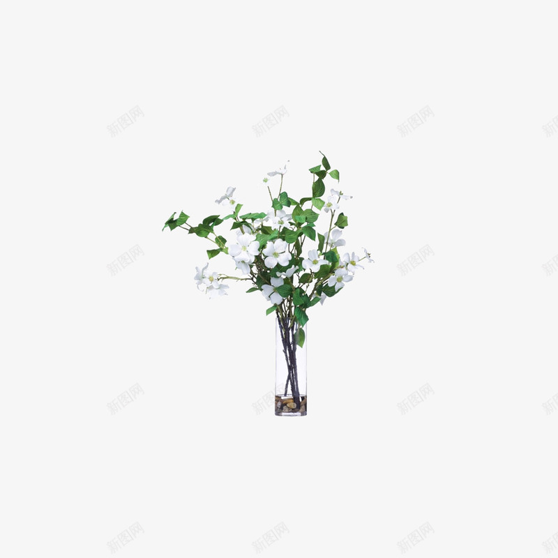 欧美流行插花绿植物鲜花软装png免抠素材_新图网 https://ixintu.com 大气 概念方案装饰 欧美软装设计方案素材 玻璃瓶 精美 精致 美化艺术 软装 软装设计 软装配饰 高品质 高精度 高质量