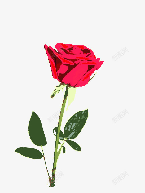 玫瑰花情人节礼物植物手绘装饰png免抠素材_新图网 https://ixintu.com 情人 手绘 植物 玫瑰花 礼物