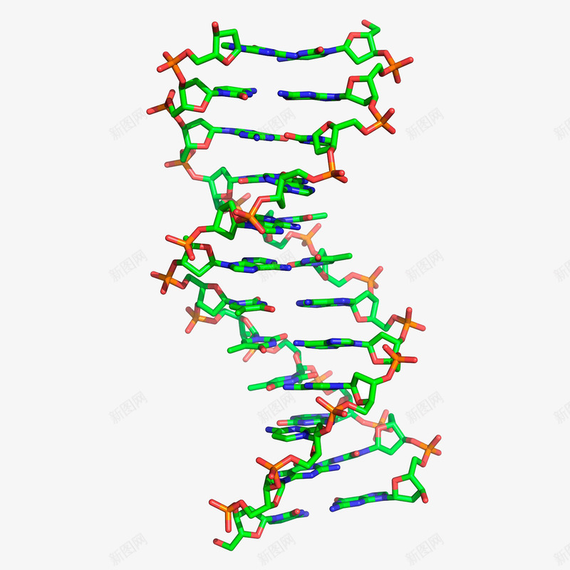 双螺旋3D立体插画png免抠素材_新图网 https://ixintu.com 分子 化学插画 双螺旋3D立体插画 基因 弯曲 生物学 科技 螺旋