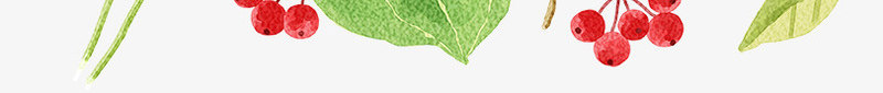 花纹png免抠素材_新图网 https://ixintu.com 不规则纹理 抽象画 抽象纹理 线条小花 花纹 野花