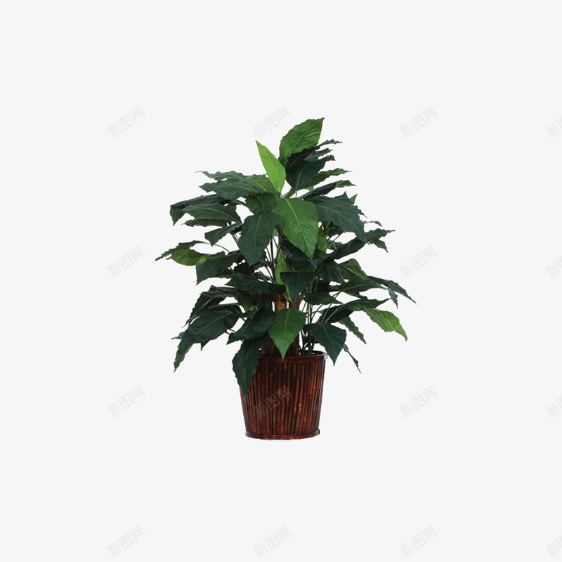欧美流行插花绿植物鲜花软装png免抠素材_新图网 https://ixintu.com 大气 概念方案装饰 欧美软装设计方案素材 精美 精致 美化艺术 软装 软装设计 软装配饰 高品质 高精度 高质量