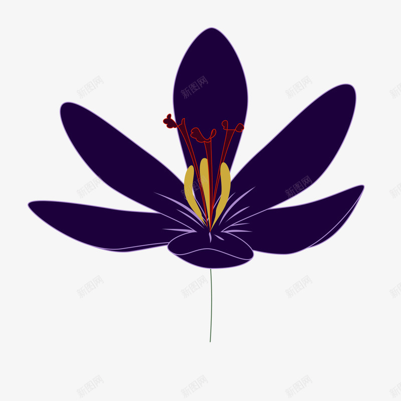 手绘藏红花单朵png免抠素材_新图网 https://ixintu.com 卡通 卡通藏红花 手绘藏红花 简笔 紫色 藏红花