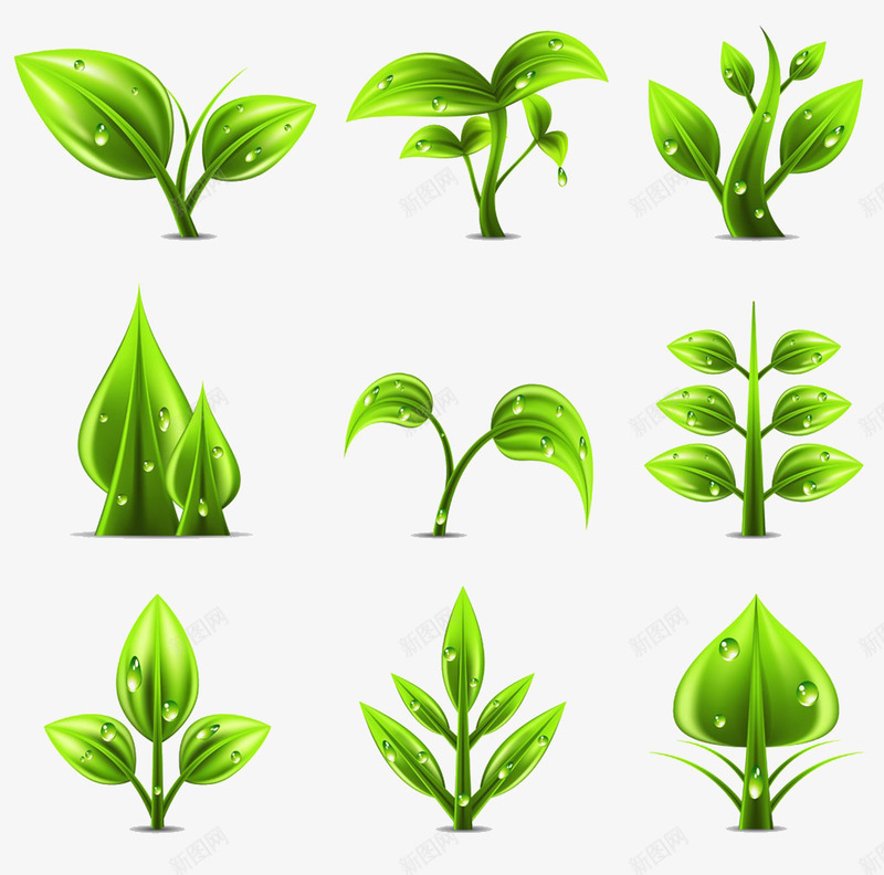各种3D逼真绿叶png免抠素材_新图网 https://ixintu.com 3D卡通 植物 绿叶