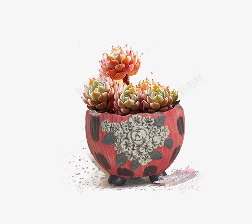 小清新插画广告卡通多肉盆栽png免抠素材_新图网 https://ixintu.com 卡通手绘装饰插画 多肉小清新插画 多肉植物 多肉植物促销宣传设计 广告设计 简约大气插画 绿色盆栽
