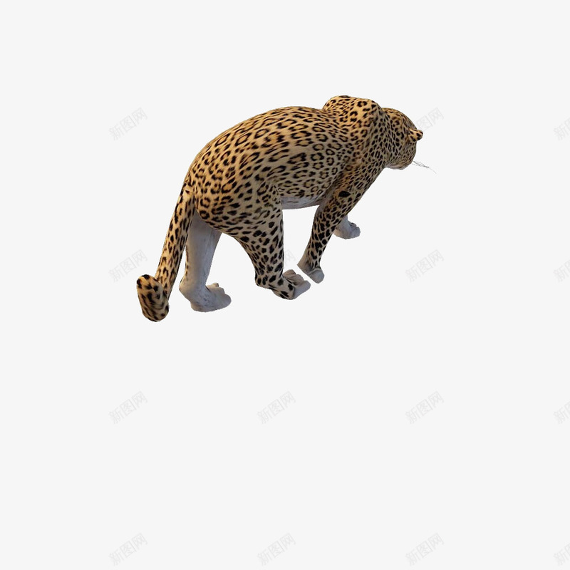 金钱豹3Dpng免抠素材_新图网 https://ixintu.com 3D 动物 爬行 金钱豹
