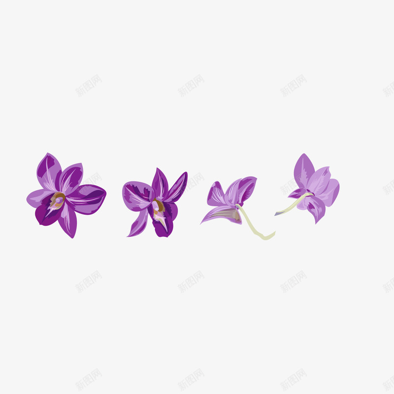 紫色兰花矢量图ai免抠素材_新图网 https://ixintu.com 300像素图 AI图免抠 兰花 大图免抠 手绘 紫色花朵 高清免抠 鲜花 矢量图
