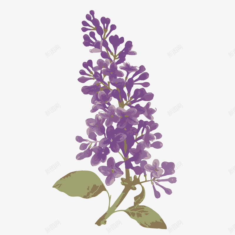 卡通手绘紫草紫色花朵png免抠素材_新图网 https://ixintu.com 卡通 手绘 紫色花朵 紫草