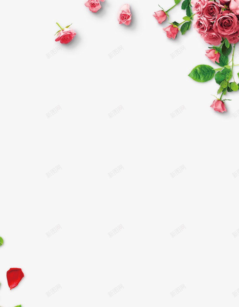 红色情人节浪漫玫瑰花枝png免抠素材_新图网 https://ixintu.com LOVE 情人节 浪漫 玫瑰花 花朵 花枝 鲜花