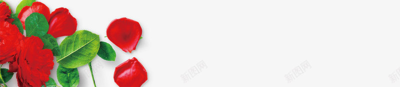 红色情人节浪漫玫瑰花枝png免抠素材_新图网 https://ixintu.com LOVE 情人节 浪漫 玫瑰花 花朵 花枝 鲜花