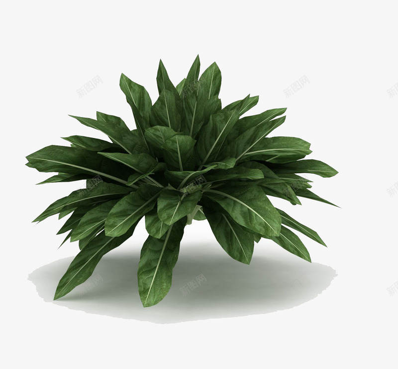 绿色植物3d模型png免抠素材_新图网 https://ixintu.com 3d模型 三维建模 三维植物模型 三维模型 植物三维模型 植物模型 模型