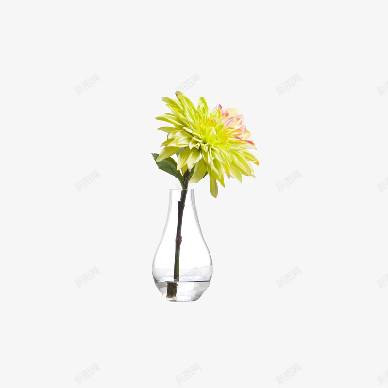 欧美流行插花绿植物鲜花软装png免抠素材_新图网 https://ixintu.com 大气 概念方案装饰 欧美软装设计方案素材 玻璃瓶 精美 精致 美化艺术 软装 软装设计 软装配饰 高品质 高精度 高质量
