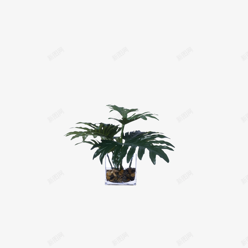 欧美流行插花绿植物鲜花软装png免抠素材_新图网 https://ixintu.com 大气 概念方案装饰 欧美流行插花 欧美软装设计方案素材 玻璃瓶 精美 精致 绿植物 美化艺术 艺术插花 花艺艺术免费下载 软装 软装设计 软装配饰 高品质 高精度 高质量 鲜花软装配饰