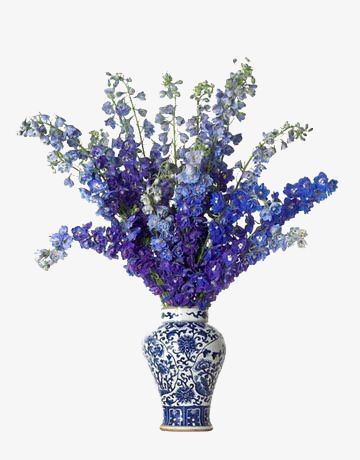干花png免抠素材_新图网 https://ixintu.com 花枝 花瓶 蓝紫色 装饰 青花瓷