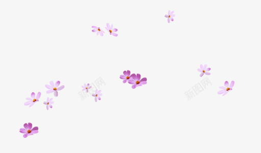 飞舞花瓣png免抠素材_新图网 https://ixintu.com 碎花 碎花墙纸 紫色 花飘落 装饰小花 飞舞