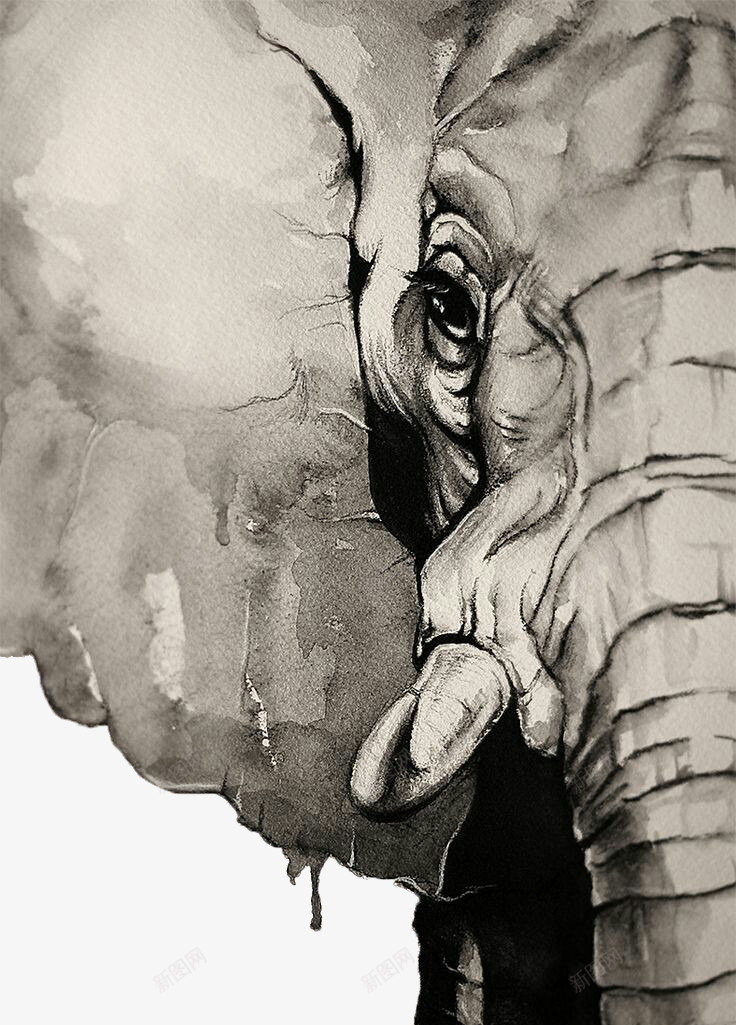 手绘大象png免抠素材_新图网 https://ixintu.com 创意设计 图案设计 大象 手绘