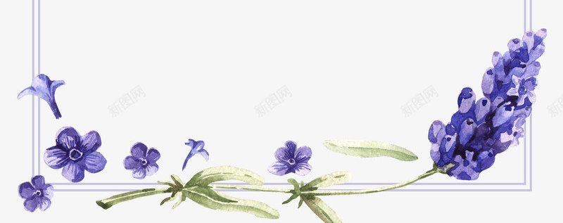手绘长方形框紫色花边png免抠素材_新图网 https://ixintu.com 手绘 手绘长方形框紫色花边 手绘长方形框紫色花边PNG 紫色 花边 长方形框