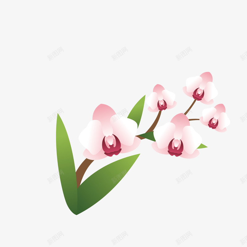紫色蝴蝶兰矢量图ai免抠素材_新图网 https://ixintu.com PNG免抠图下载 兰花 兰草 花开 装饰 鲜花 矢量图