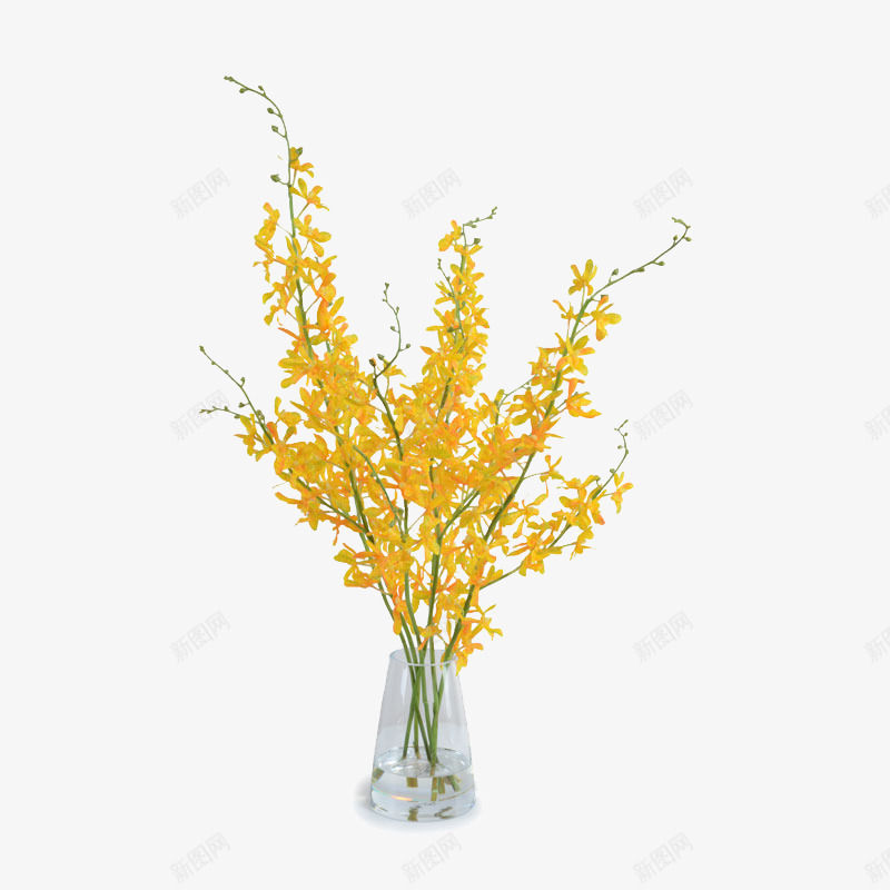 艺术造型插花花艺png免抠素材_新图网 https://ixintu.com 大气 概念方案装饰 精美 精致 美化艺术 软装 软装设计 软装配饰 高品质 高精度 高质量