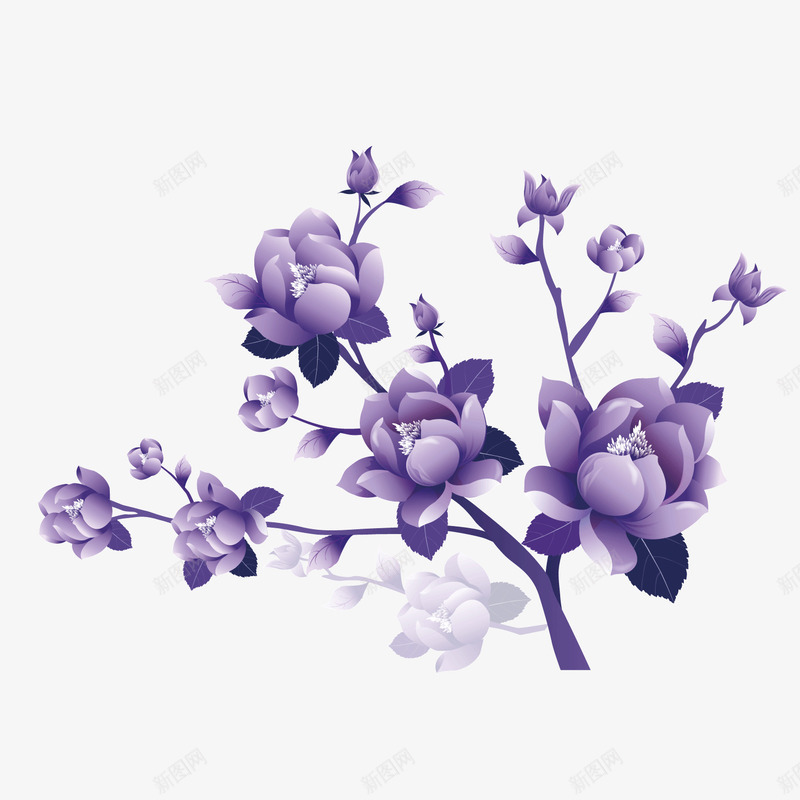 紫色枝叶鲜花紫草png免抠素材_新图网 https://ixintu.com 枝叶 紫色 紫草 鲜花