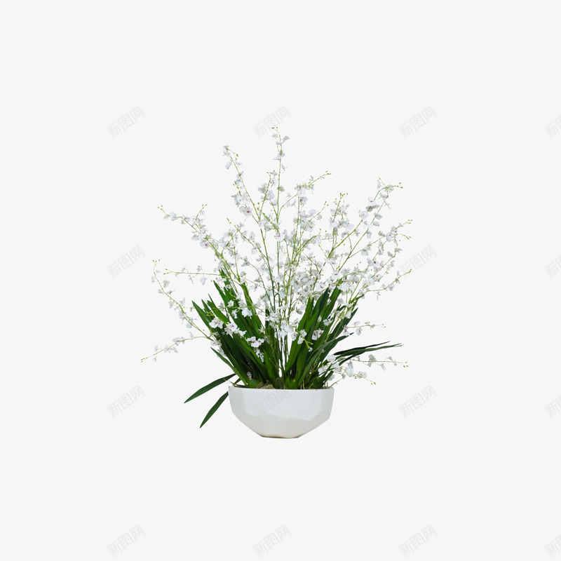 欧美流行软装配饰艺术插花花艺png免抠素材_新图网 https://ixintu.com 大气 概念方案装饰 精美 精致 美化艺术 软装 软装设计 软装设计方案素材 软装配饰 高品质 高精度 高质量