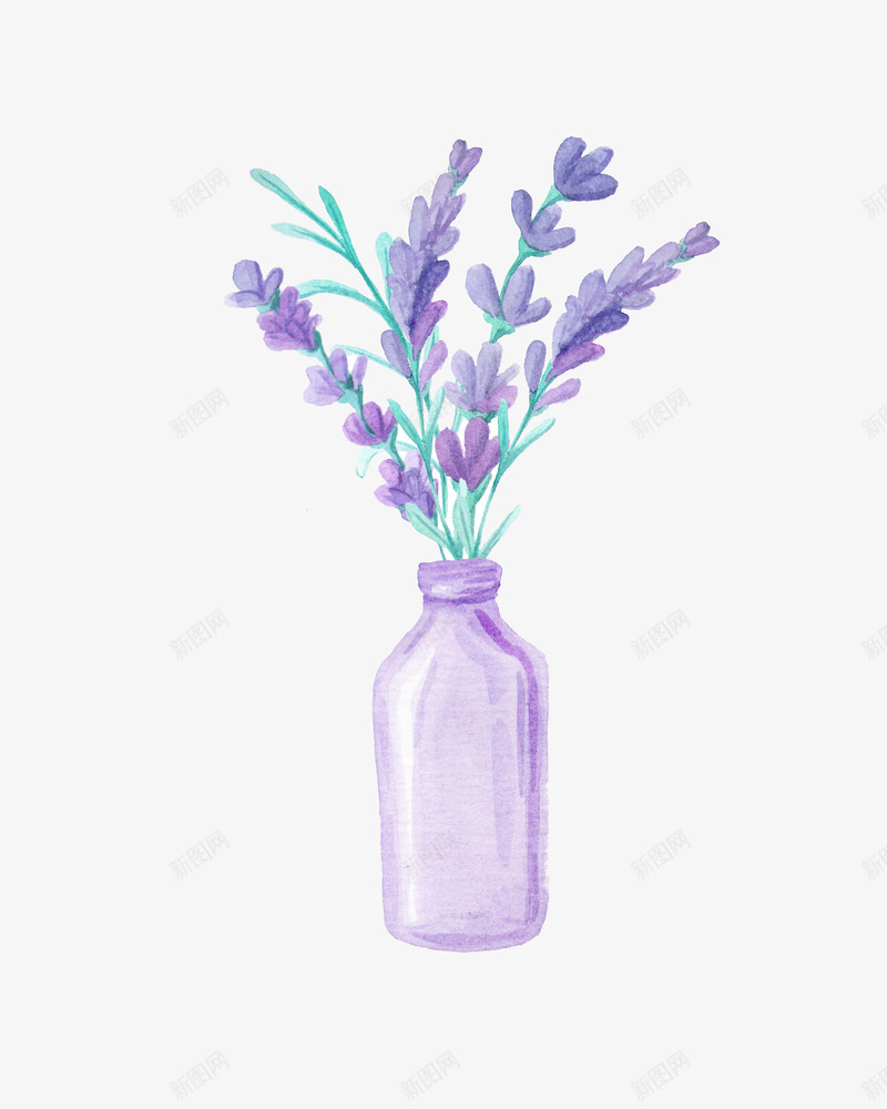 唯美薰衣草png免抠素材_新图网 https://ixintu.com 叶子 瓶子 紫色 花 薰衣草