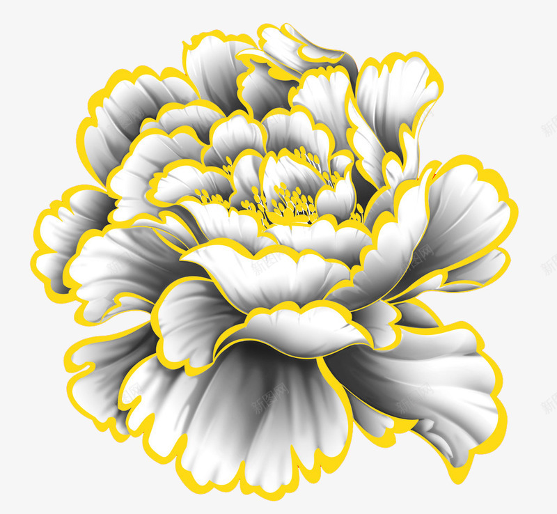 金边灰色牡丹花png免抠素材_新图网 https://ixintu.com 大花朵 牡丹花 花卉 金边灰色
