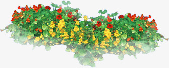 黄红色花朵草丛景观png免抠素材_新图网 https://ixintu.com 景观 红色 花朵 草丛