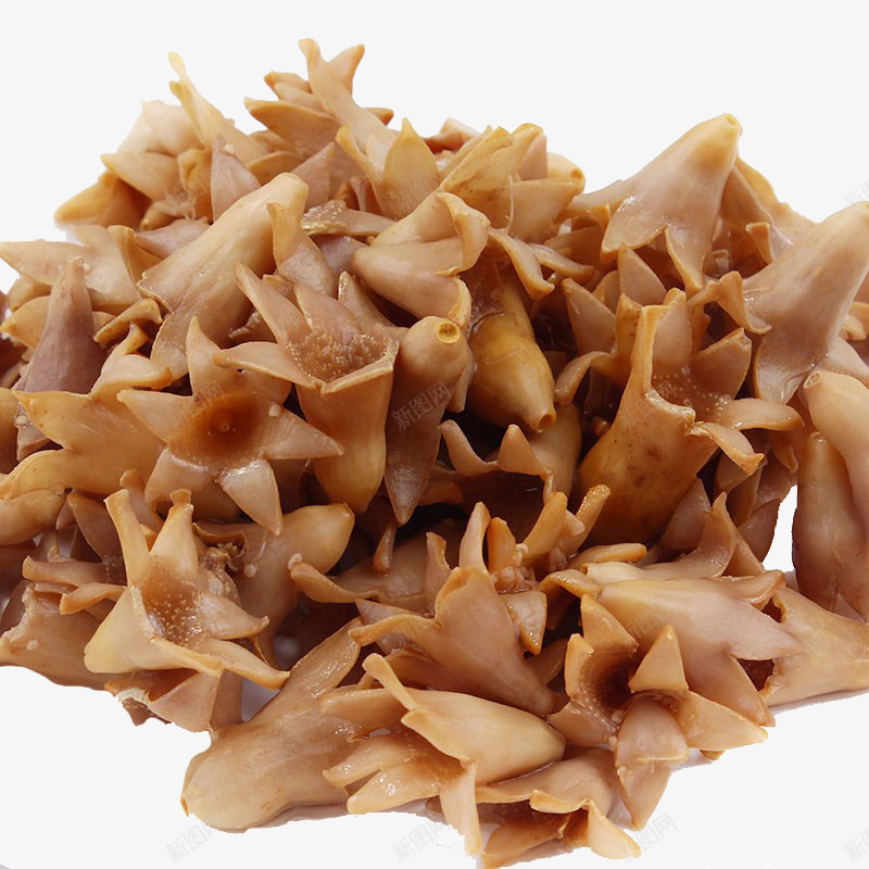 可食用石榴花png免抠素材_新图网 https://ixintu.com 炒菜 特色菜 石榴花 美食 花 食材