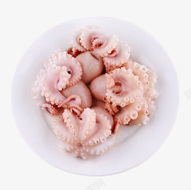 新鲜大章鱼png免抠素材_新图网 https://ixintu.com png图片 png图片素材 产品实物 免费png素材 有机 生态 章鱼