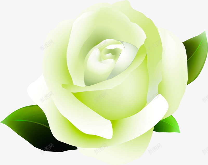 教师节青色花朵绿叶png免抠素材_新图网 https://ixintu.com 教师节 绿叶 花朵 青色