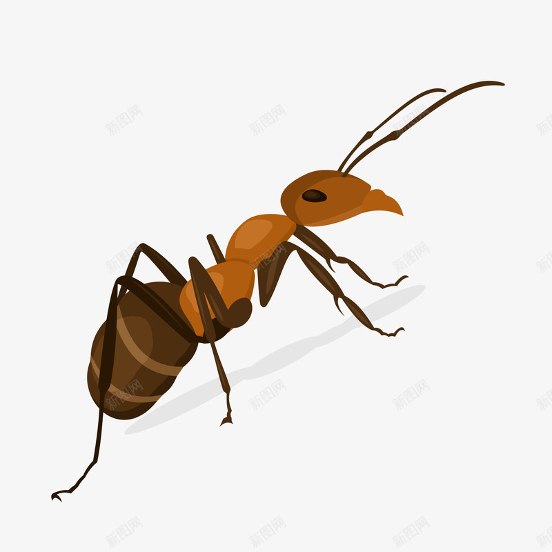 一只蚂蚁矢量图ai免抠素材_新图网 https://ixintu.com 动物 卡通蚂蚁 大图网 矢量蚂蚁素材 矢量图