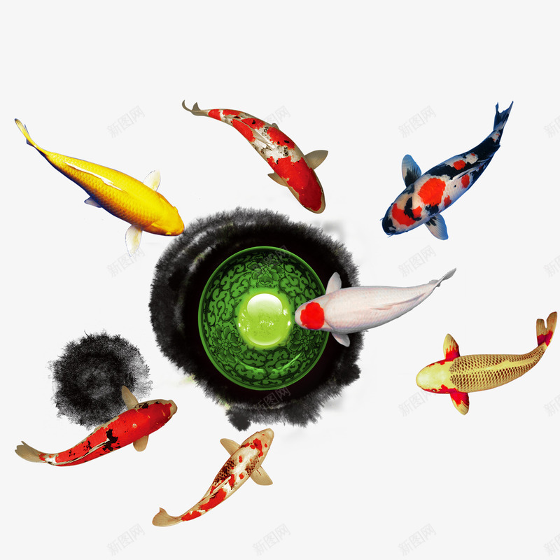 鱼戏龙珠png免抠素材_新图网 https://ixintu.com 金鱼 锦鲤 鱼戏龙珠 鲤鱼