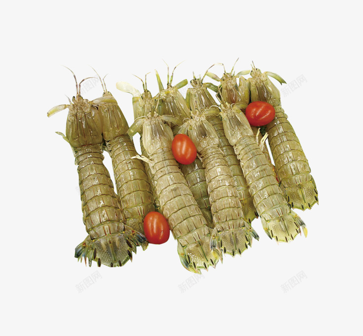 竹节虾png免抠素材_新图网 https://ixintu.com 水产 生鲜 虾 青色