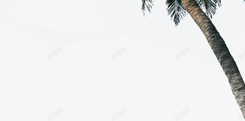 欧式别墅花园景观png免抠素材_新图网 https://ixintu.com 别墅 景观 欧式 花园