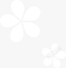 纯白色花朵装饰png免抠素材_新图网 https://ixintu.com 白色 花朵 装饰